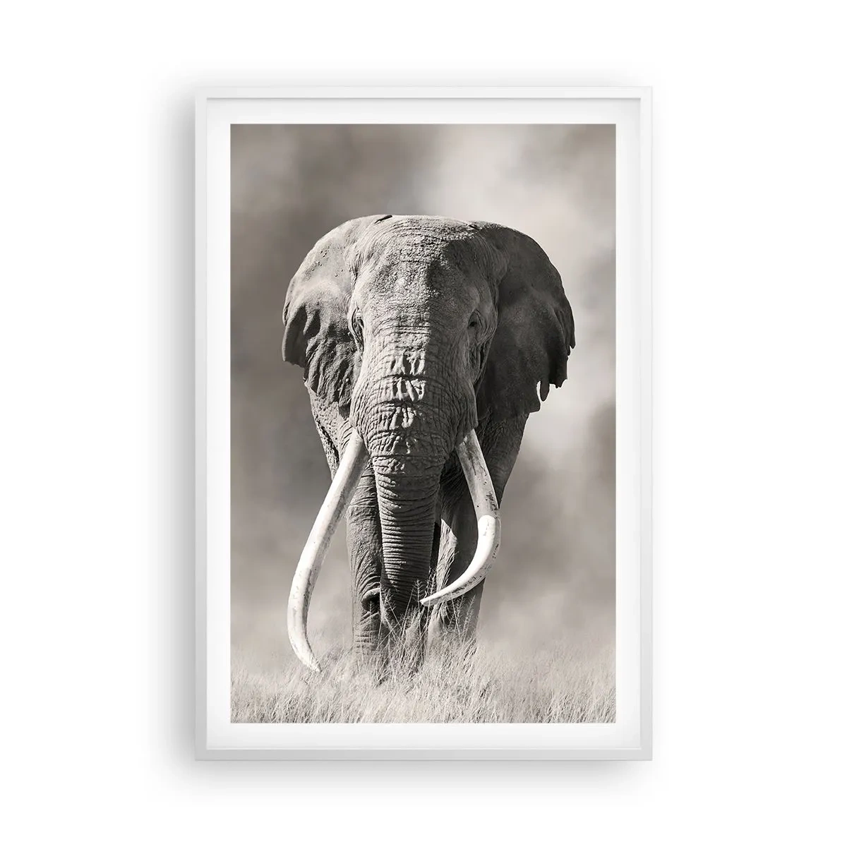 Affisch i vit ram - Afrikansk patriark - 61x91 cm