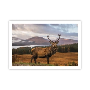 Affisch - Naturens majestät - 91x61 cm