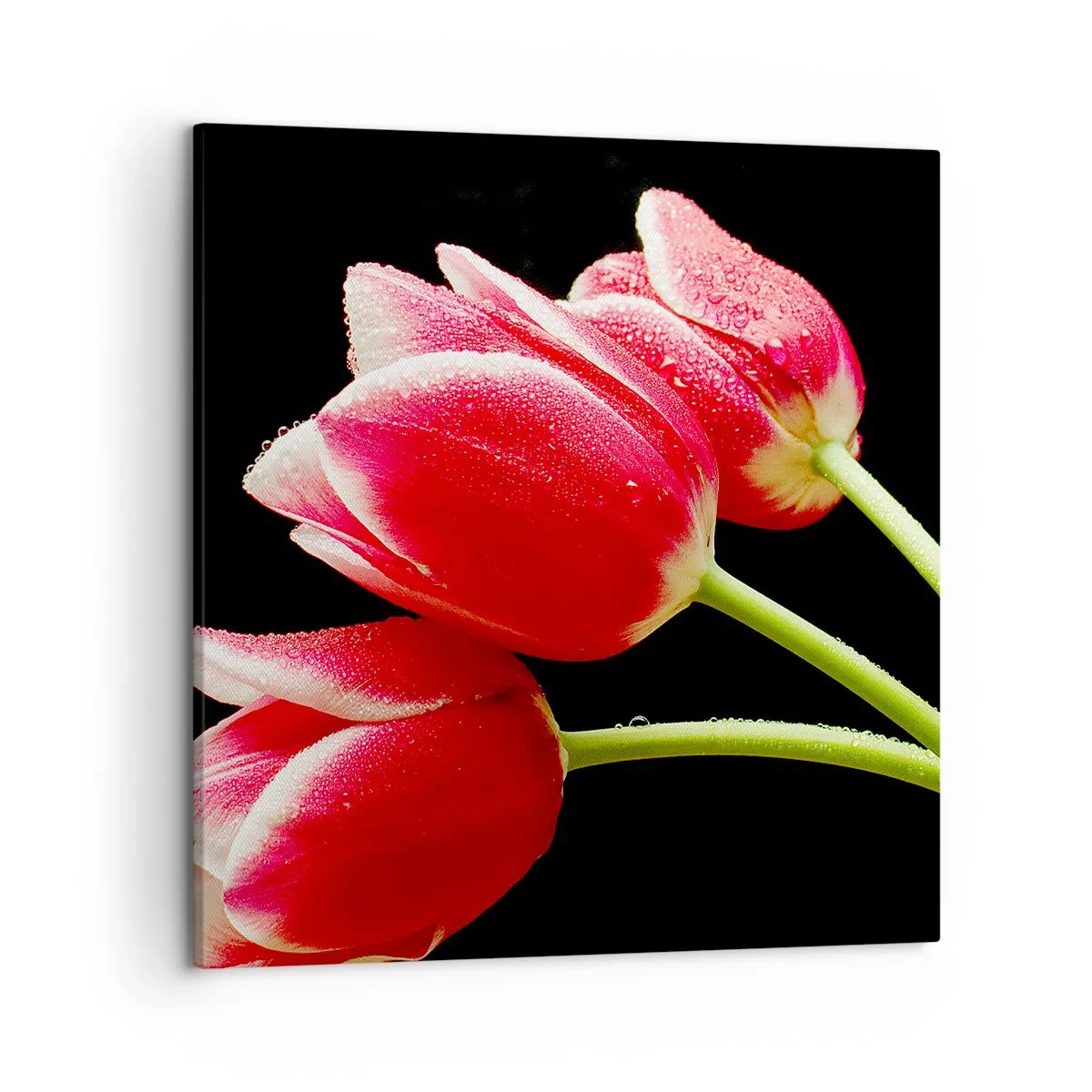 Canvastavla - Bild på duk - Ett löfte om en ren kärlek - 50x50 cm