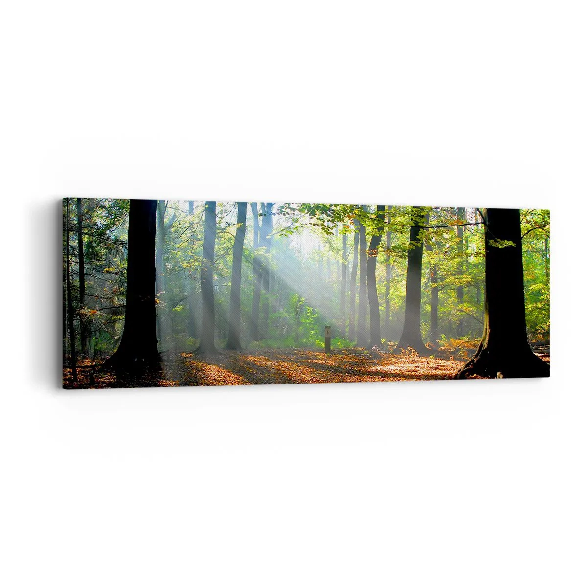 Canvastavla - Bild på duk - Sken-och skuggspel - 90x30 cm