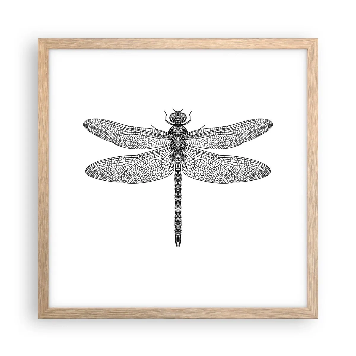 Affisch i ram av ljusek - Precision i naturen - 40x40 cm