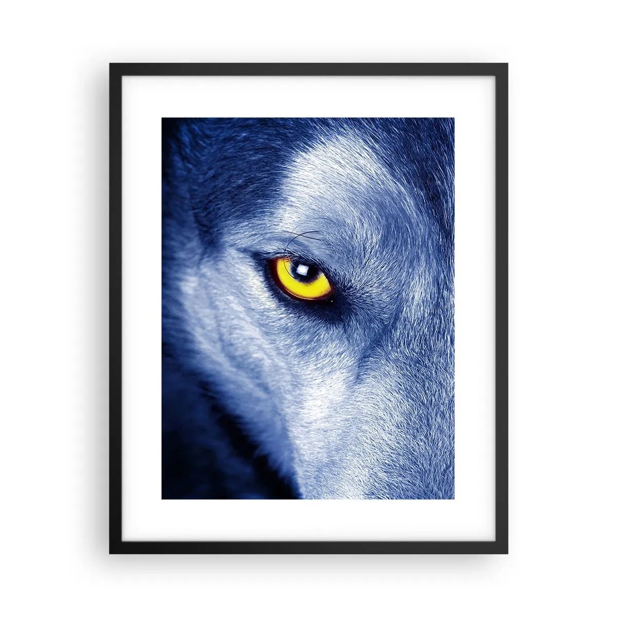 Affisch i svart ram - Hypnotiserade titt - 40x50 cm