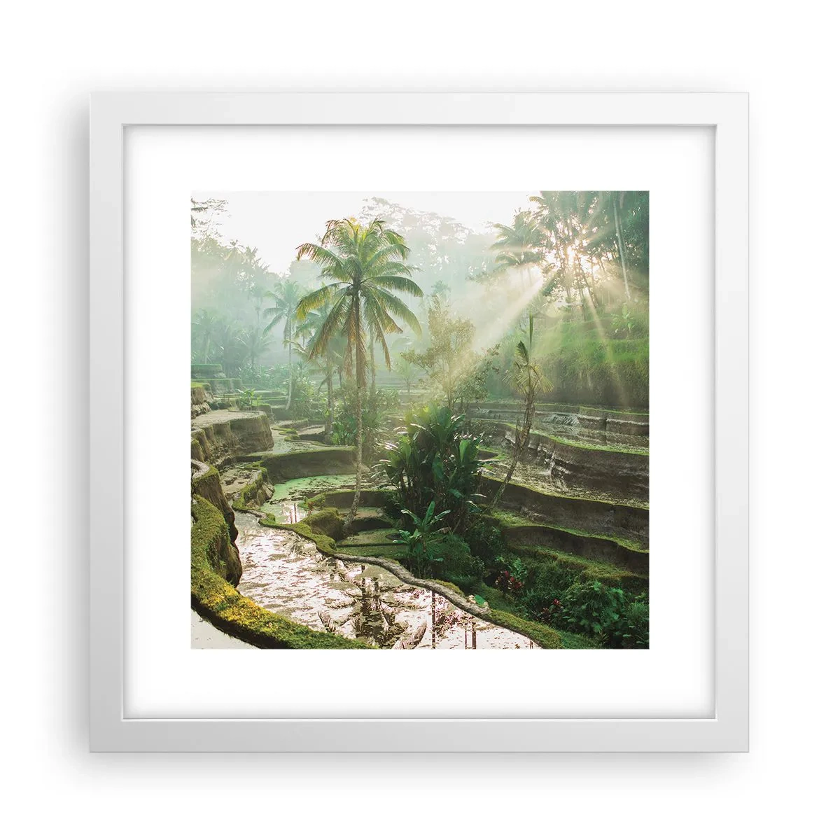 Affisch i vit ram - Växa upp i solsken - 30x30 cm