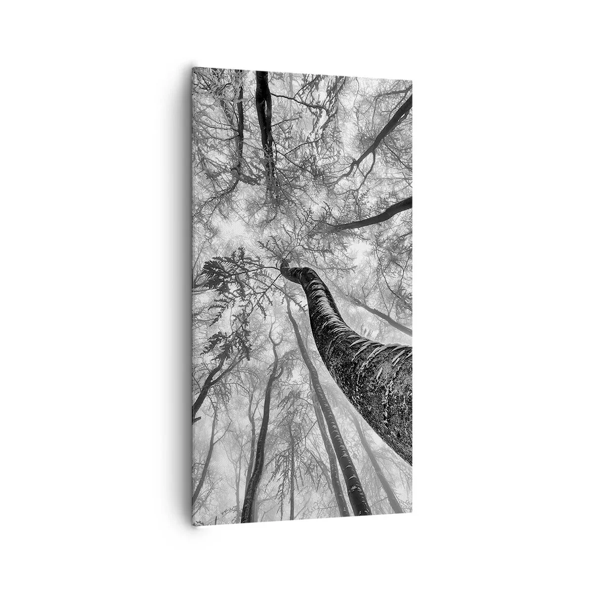 Canvastavla - Bild på duk - Kapplöpning mot ljuset - 65x120 cm