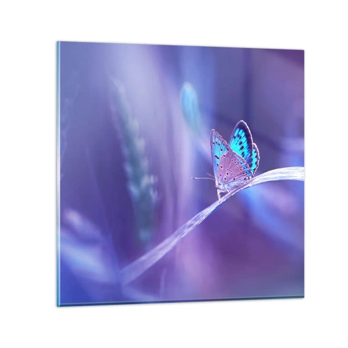 Glastavla - Bild på glas - Naturens klenoder - 50x50 cm
