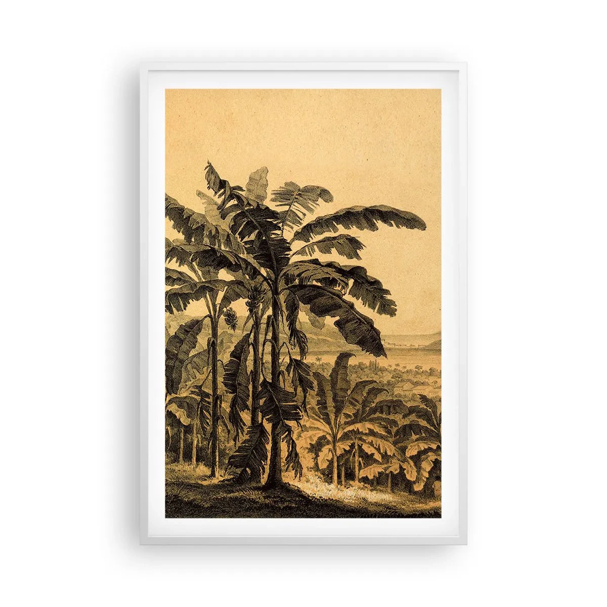 Affisch i vit ram - I kolonial stämning - 61x91 cm