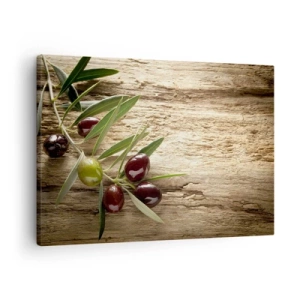 Canvastavla - Bild på duk - Olivkvist med frukt på en bakgrund av åldrat trä - 70x50cm - Direkt från naturen - Modern väggdekoration för vardagsrum och sovrum ARTTOR