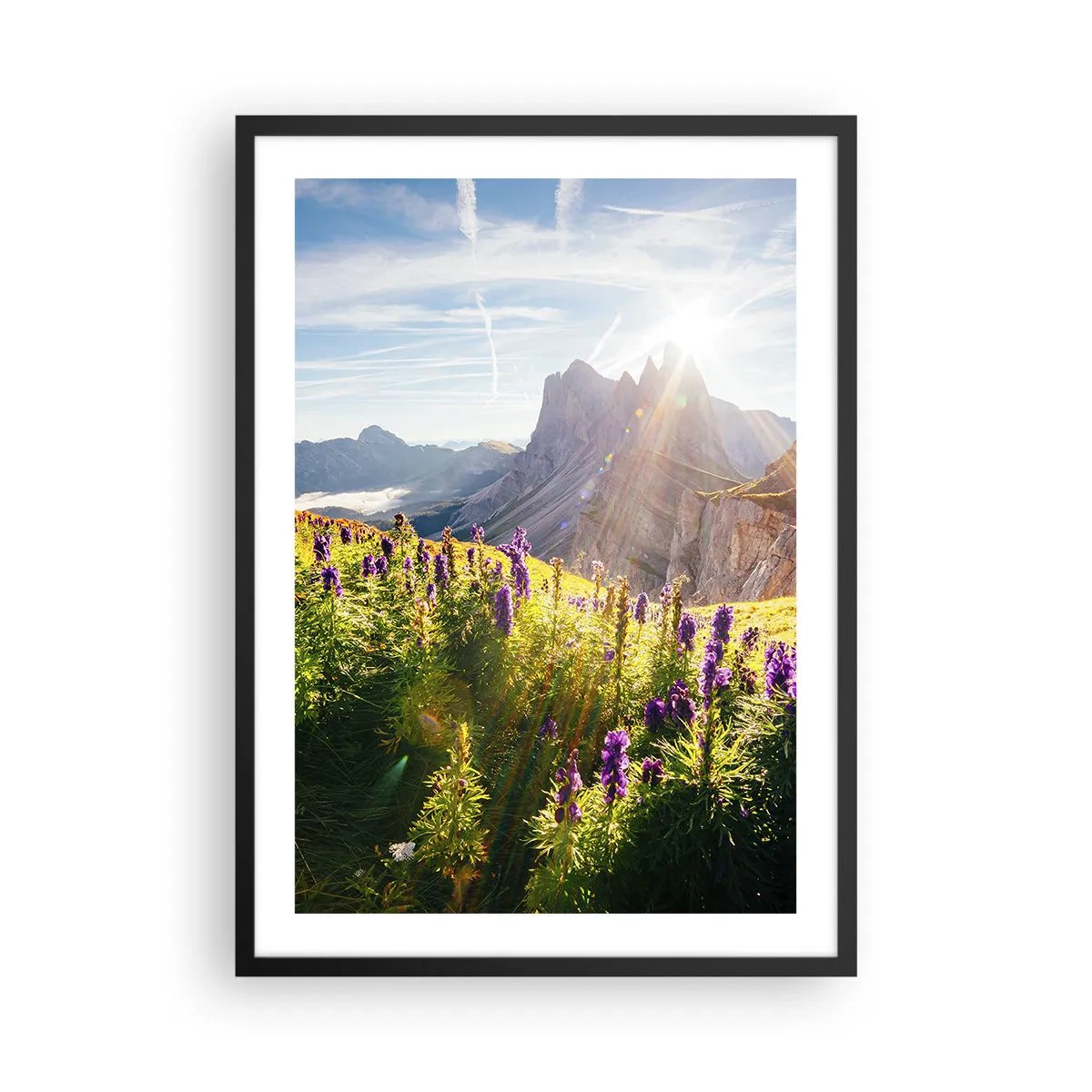 Affisch i svart ram - Ett bergslandskap med en äng full av blommor vid soluppgången - 50x70cm - Örternas hemliga liv - Modern väggdekoration för vardagsrum och sovrum ARTTOR