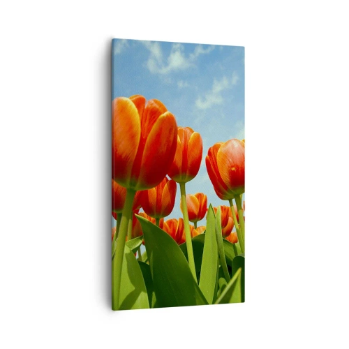 Canvastavla - Bild på duk - Förutom blå himmel behöver vi inget annat i livet - 55x100 cm