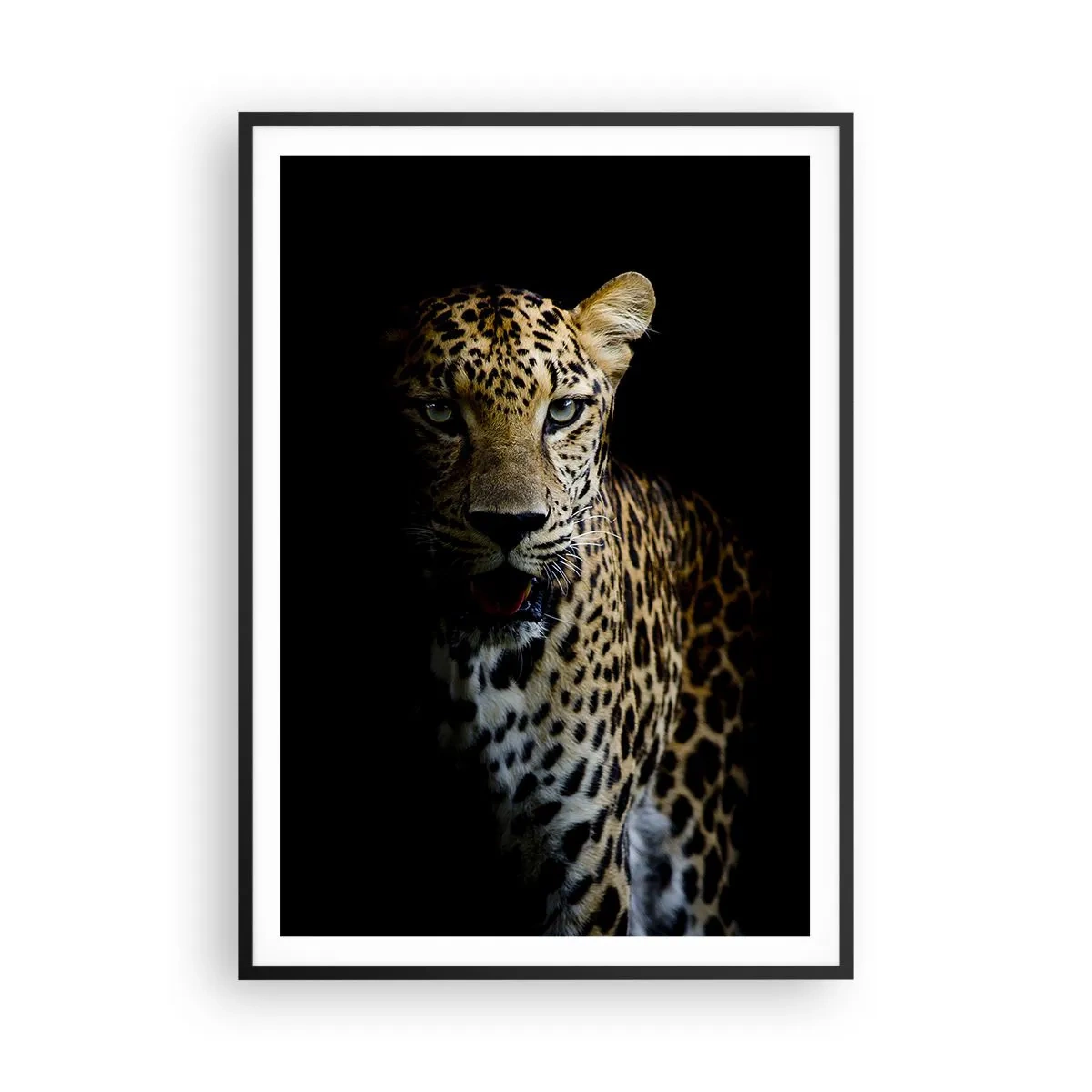 Affisch i svart ram - Mörk skönhet - 70x100 cm
