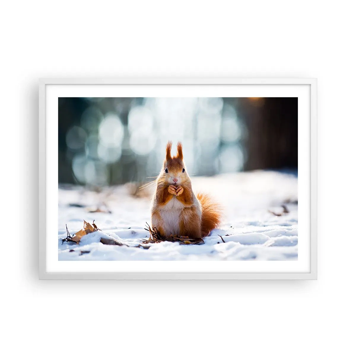 Affisch i vit ram - Vad glor du på? - 70x50 cm