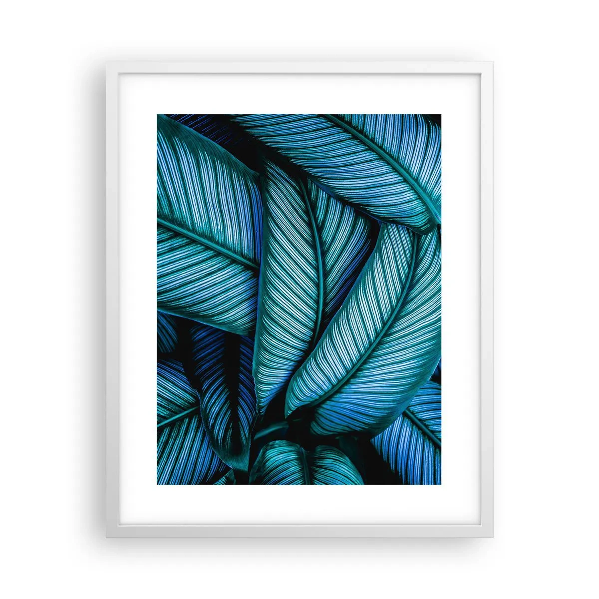 Affisch i vit ram - Livslinjer - 40x50 cm