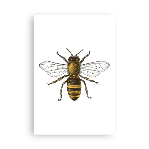 Affisch - Vackert och bra - 61x91 cm