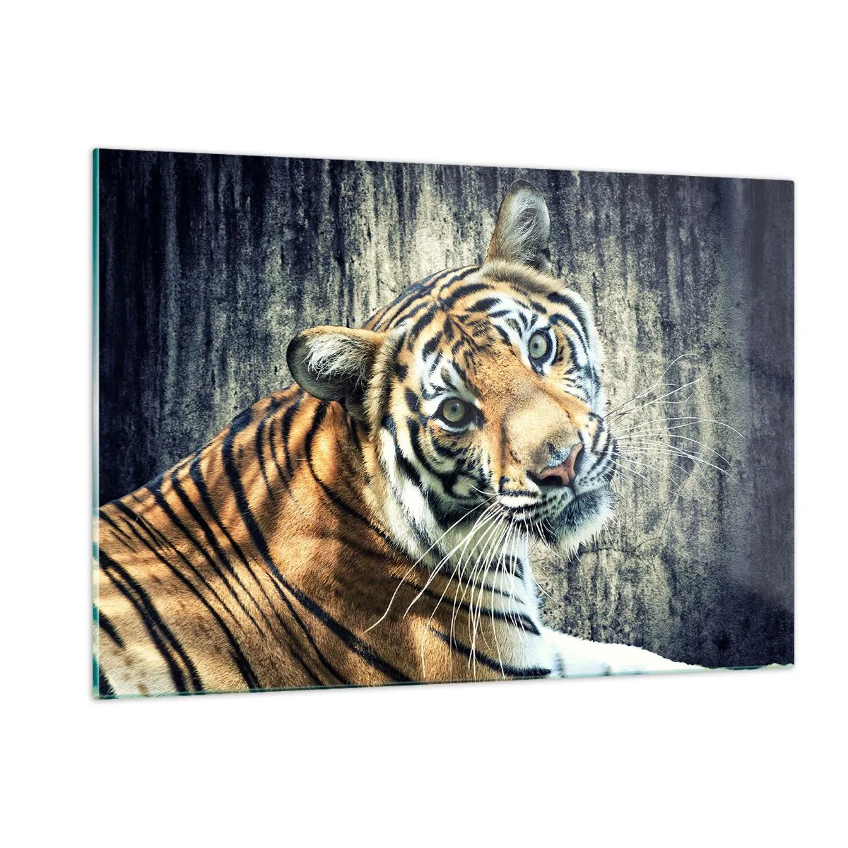 Glastavla - Bild på glas - Porträtt i ljusstrålar - 120x80 cm