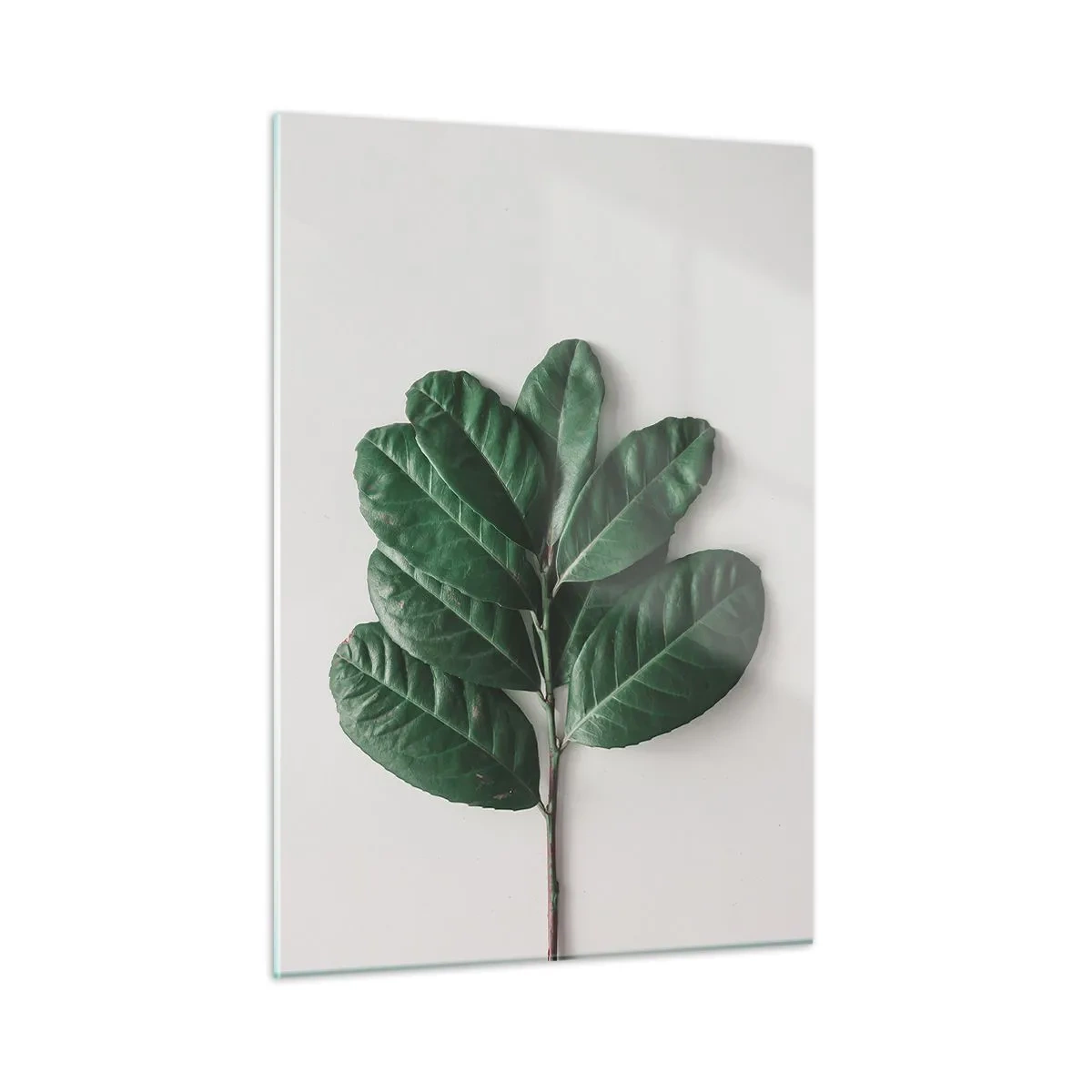 Glastavla - Bild på glas - Själva naturens bild - 50x70 cm