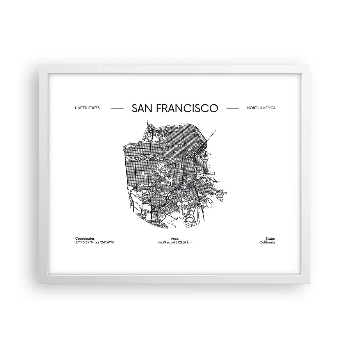 Affisch i vit ram - San Franciscos anatomi - 50x40 cm
