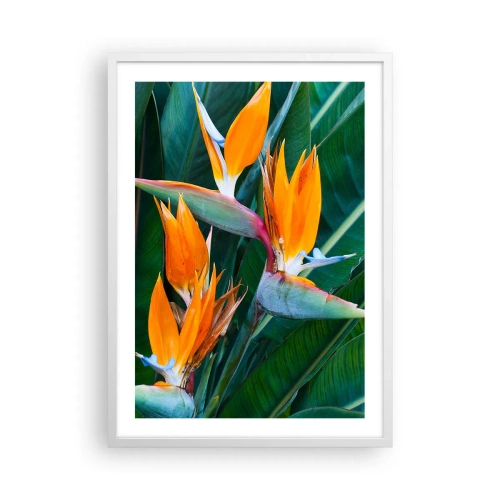 Affisch i vit ram - Är det en blomma, eller en fågel? - 50x70 cm
