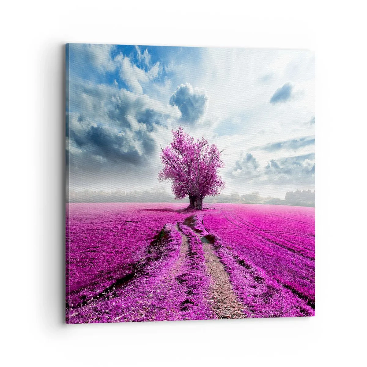 Canvastavla - Bild på duk - Ljunghed - 70x70 cm