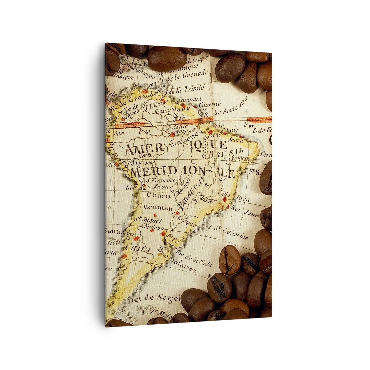 Canvastavla - Bild på duk - Varifrån kommer det bästa kaffet? - 80x120 cm