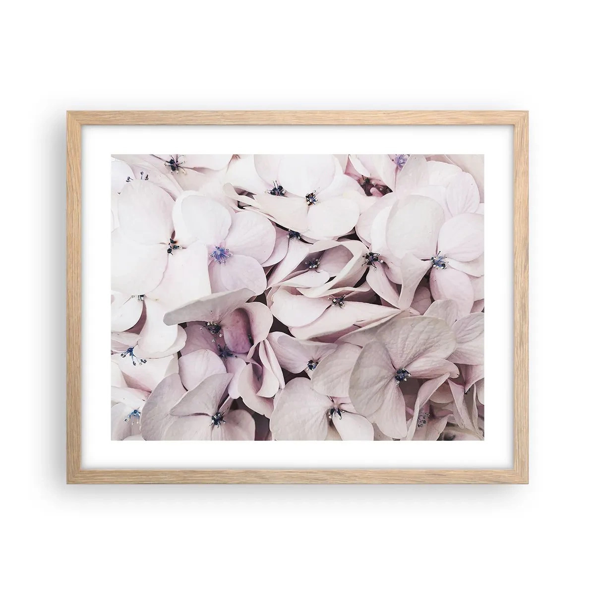 Affisch i ram av ljusek - I en flod av blommor - 50x40 cm