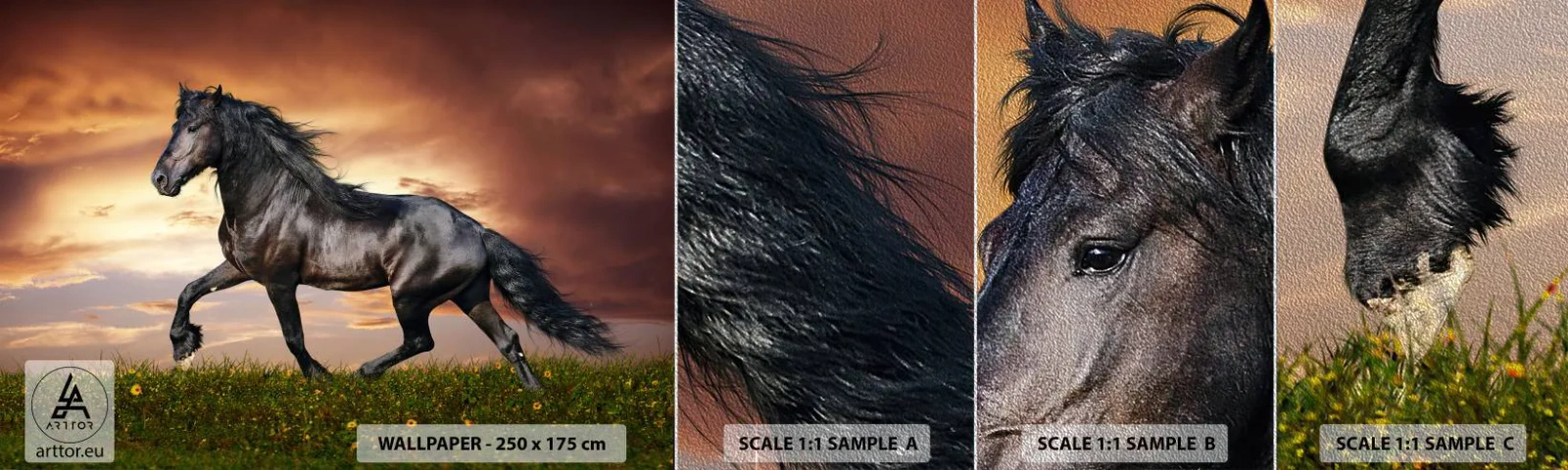 Provbit av fototapet Premium Sand - Svarta prinsen - Djur, Arabisk häst, Landskap - 100x30 cm