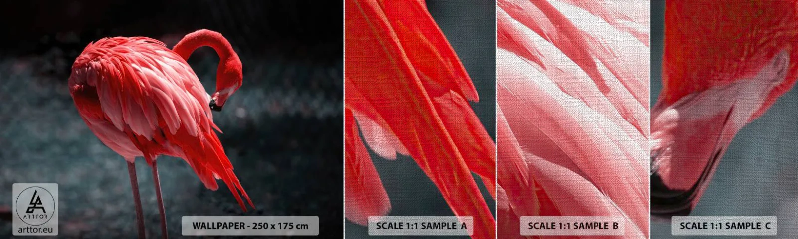 Provbit av fototapet Premium Canvas - Djuprött naturpoem - Flamingo, Fågel, Natur - 100x30 cm