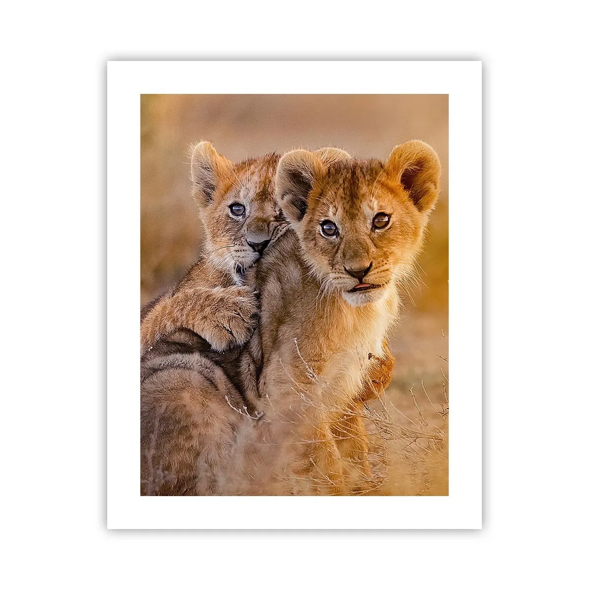 Affisch - Stör inte! Vi har kul - 40x50 cm