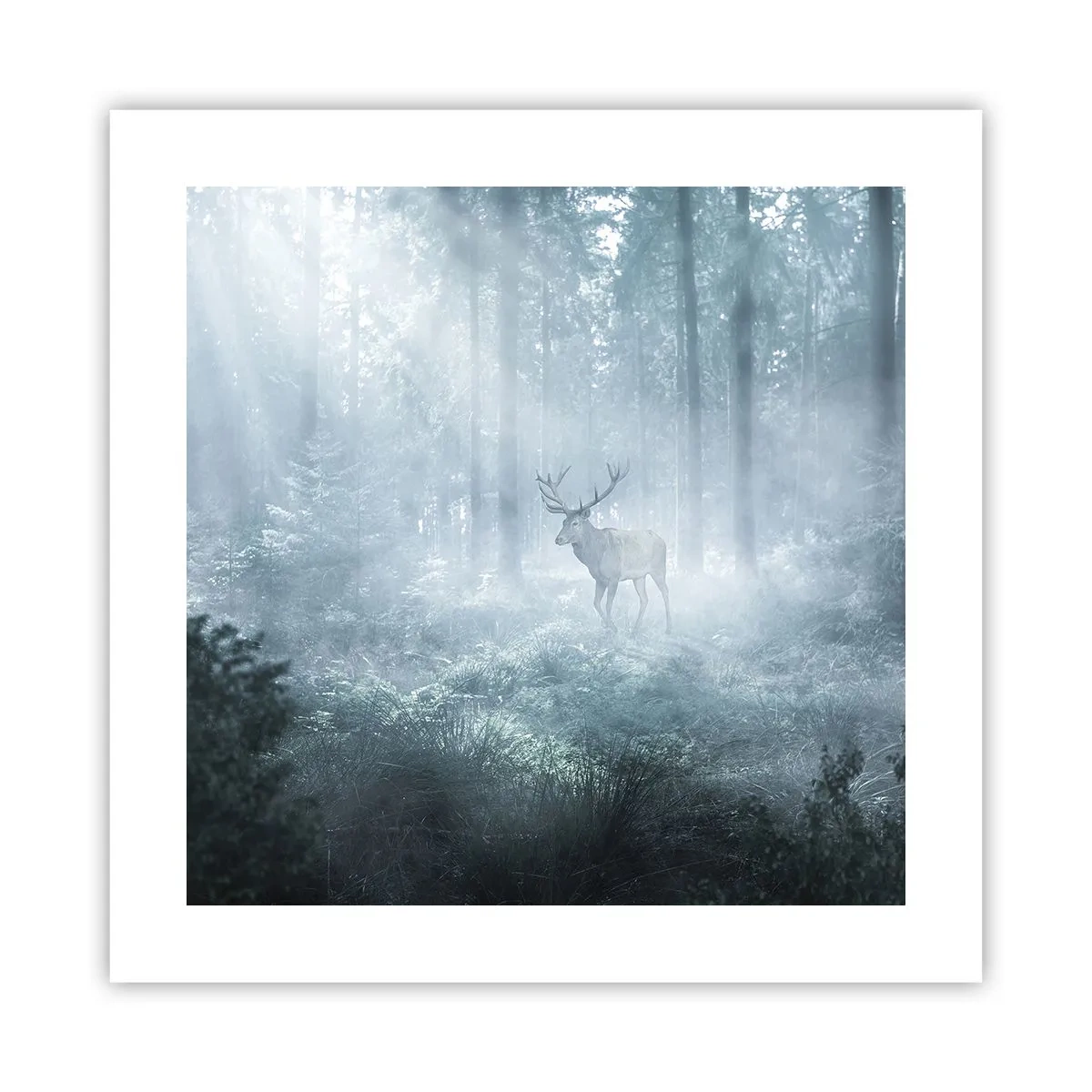 Affisch - Morgonrond runt godset - 40x40 cm