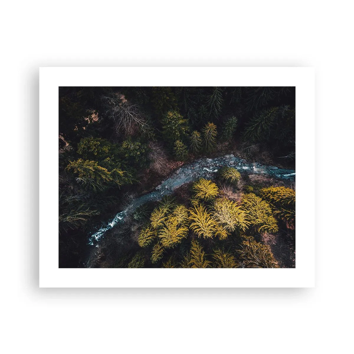 Affisch - Snabbt, allt snabbare - 50x40 cm