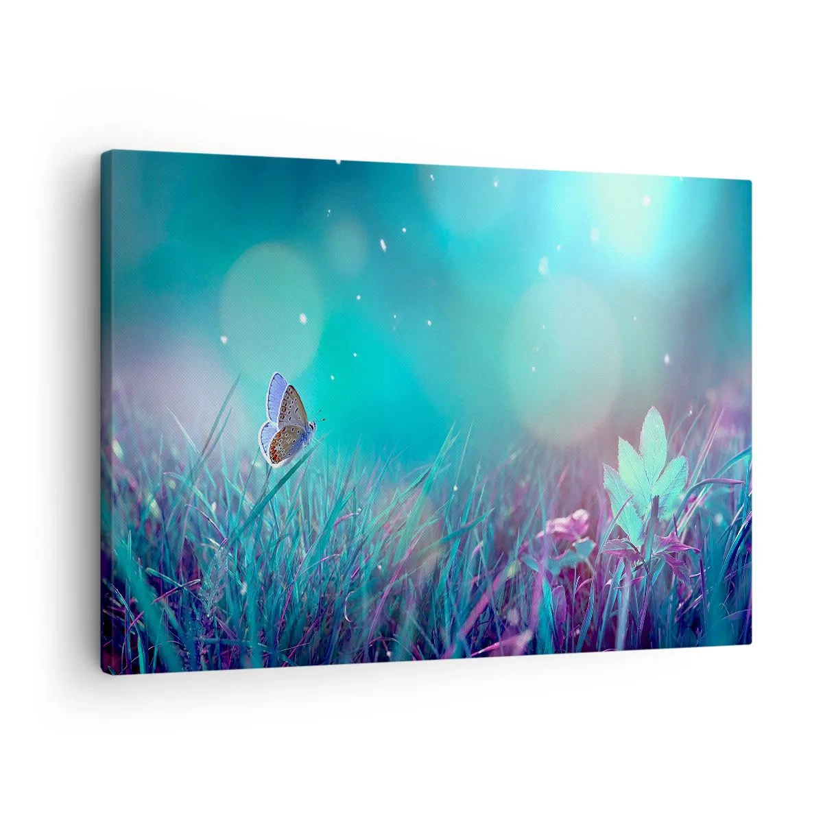 Canvastavla - Bild på duk - En fjäril på gräset i ljuset av suddiga reflektioner - 70x50cm - Ängens hemliga liv - Modern väggdekoration för vardagsrum och sovrum ARTTOR