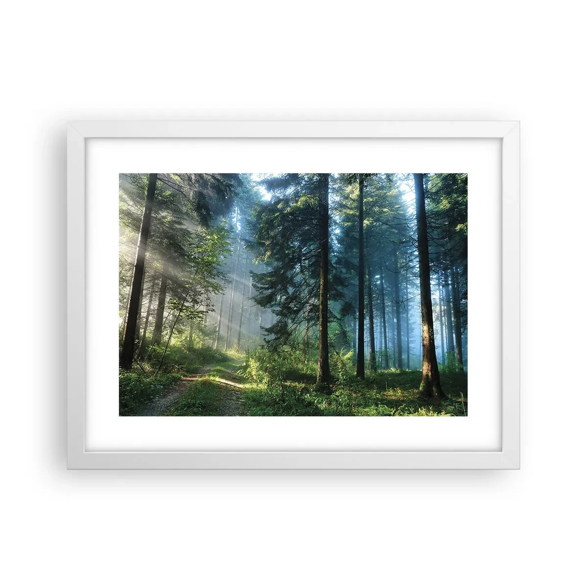 Affisch i vit ram - Strålande på morgonen - 40x30 cm