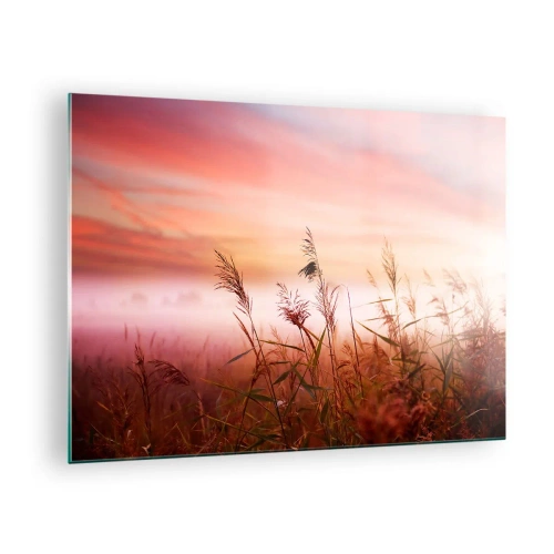 Glastavla - Bild på glas - En äng i morgondimman med en pastellfärgad himmel - 70x50cm - Drakar, maskrosor, vind - Modern väggdekoration för vardagsrum och sovrum ARTTOR