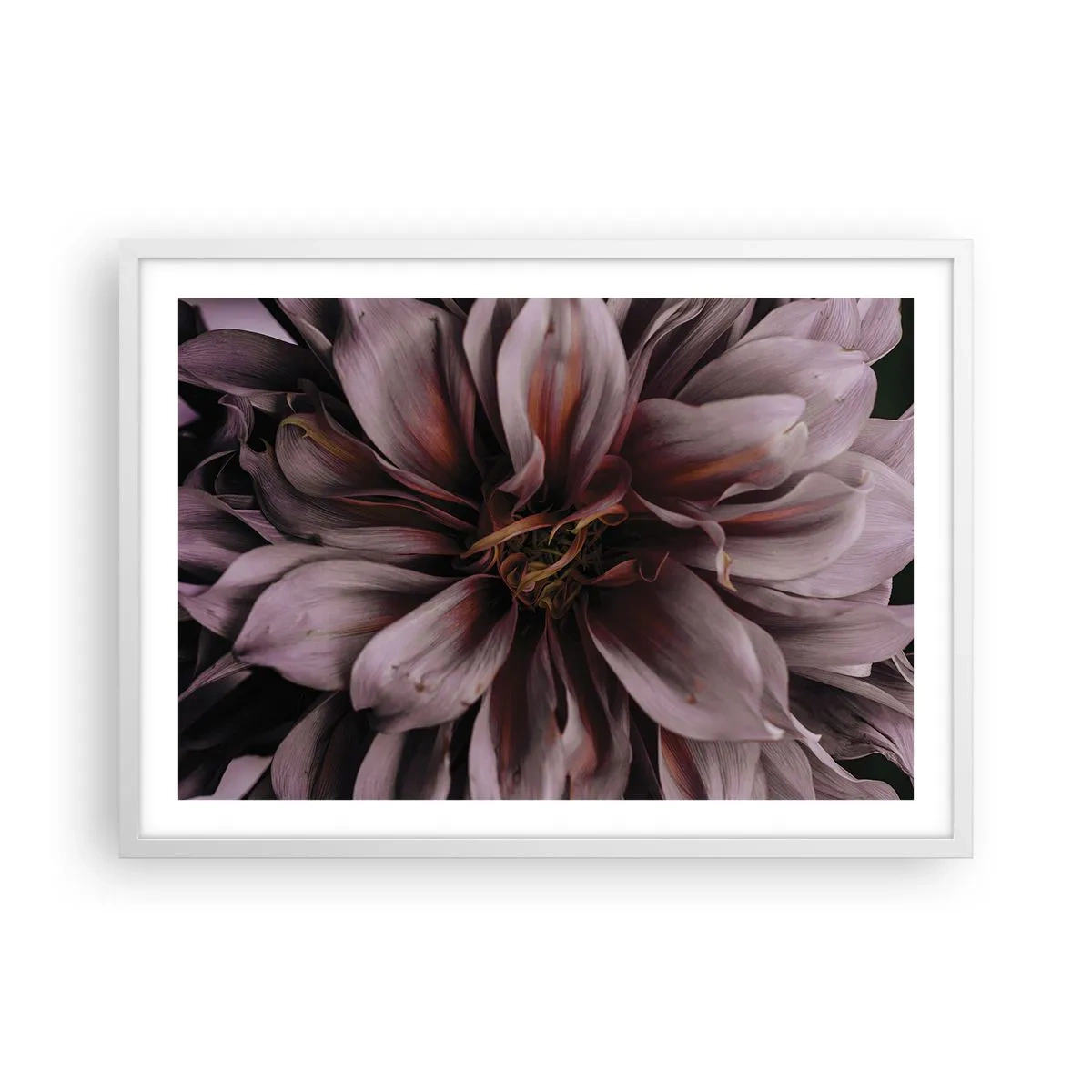 Affisch i vit ram - Blommigt hjärta - 70x50 cm