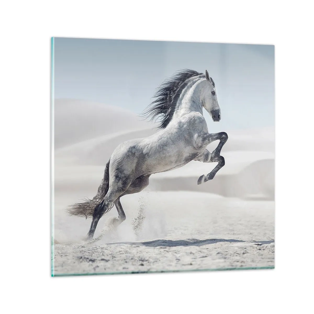 Glastavla - Bild på glas - Arabisk prins - 30x30 cm