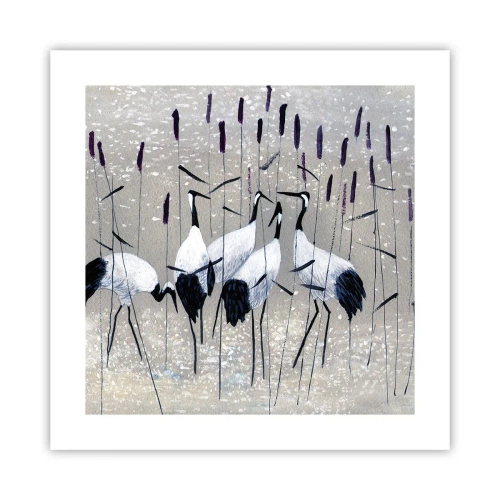 Affisch - Bland sina - 40x40 cm