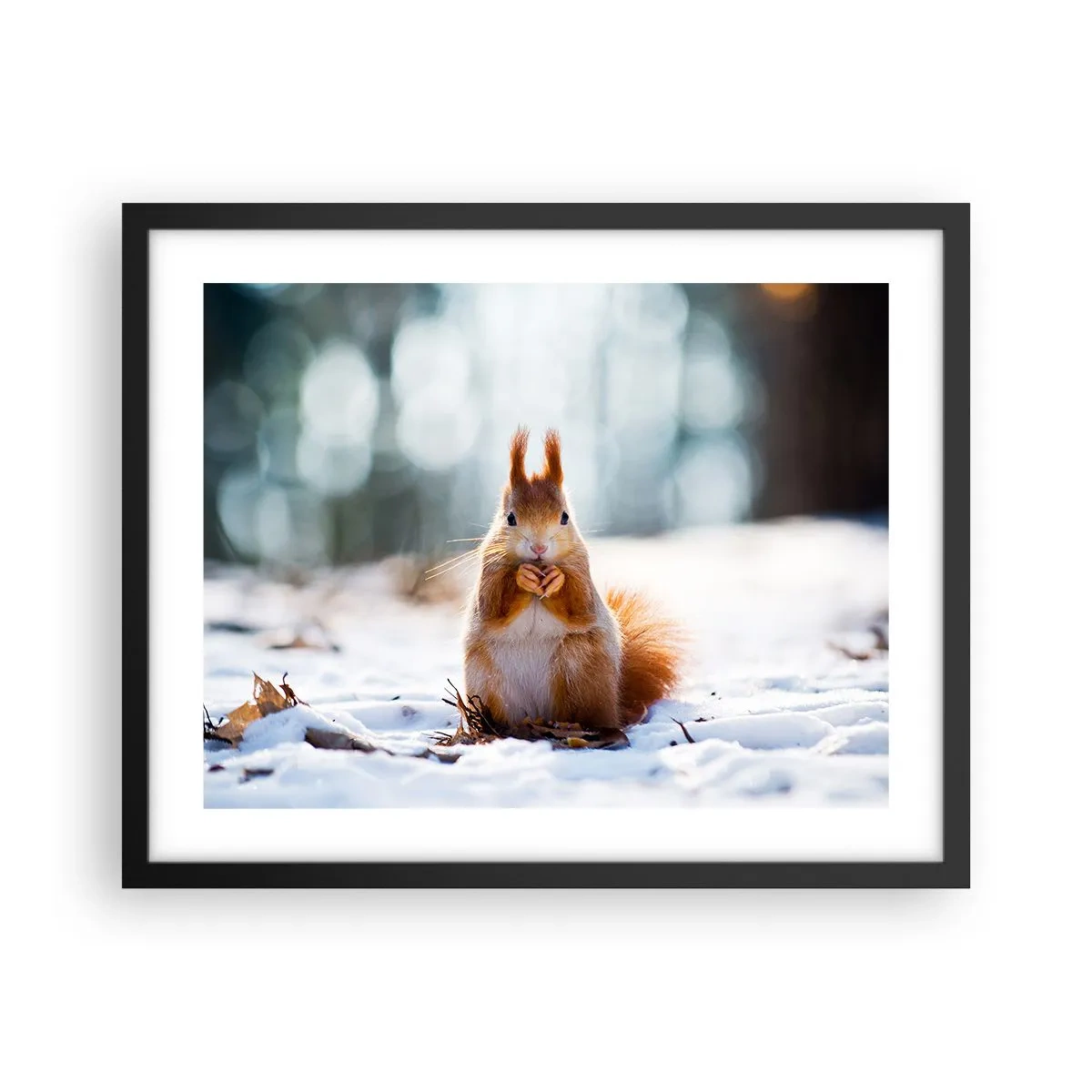 Affisch i svart ram - Vad glor du på? - 50x40 cm