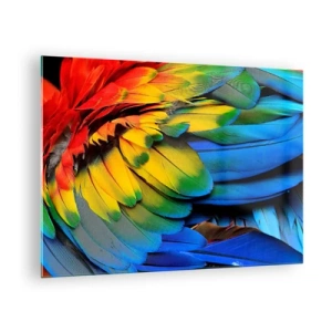 Glastavla - Bild på glas - Färgglada papegojfjädrar i intensiva regnbågsfärger - 70x50cm - Paradisfågel - Modern väggdekoration för vardagsrum och sovrum ARTTOR