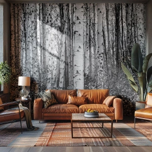 Fototapet Premium Canvas - Björkpelargång - Skog, Björk, Natur - 350x256 cm