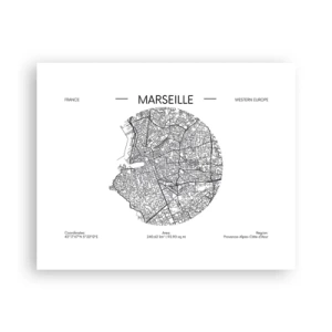 Affisch - Marseilles anatomi - 50x40 cm