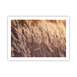 Affisch - Redo att välkomna hösten - 70x50 cm