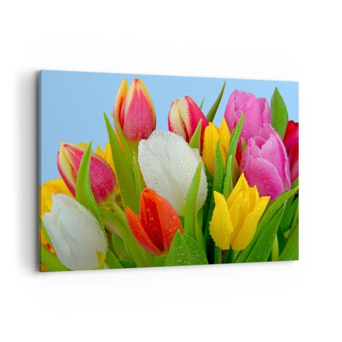 Canvastavla - Bild på duk - blommig regnbåge i daggdroppar - 120x80 cm