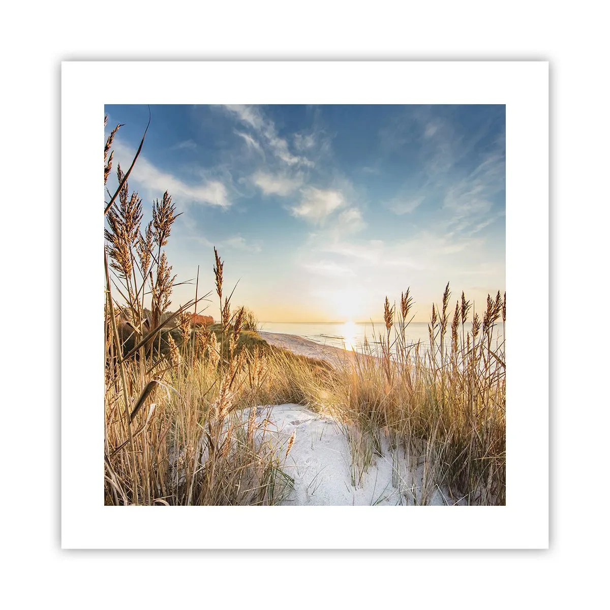 Affisch - Nordlig strand - 40x40 cm