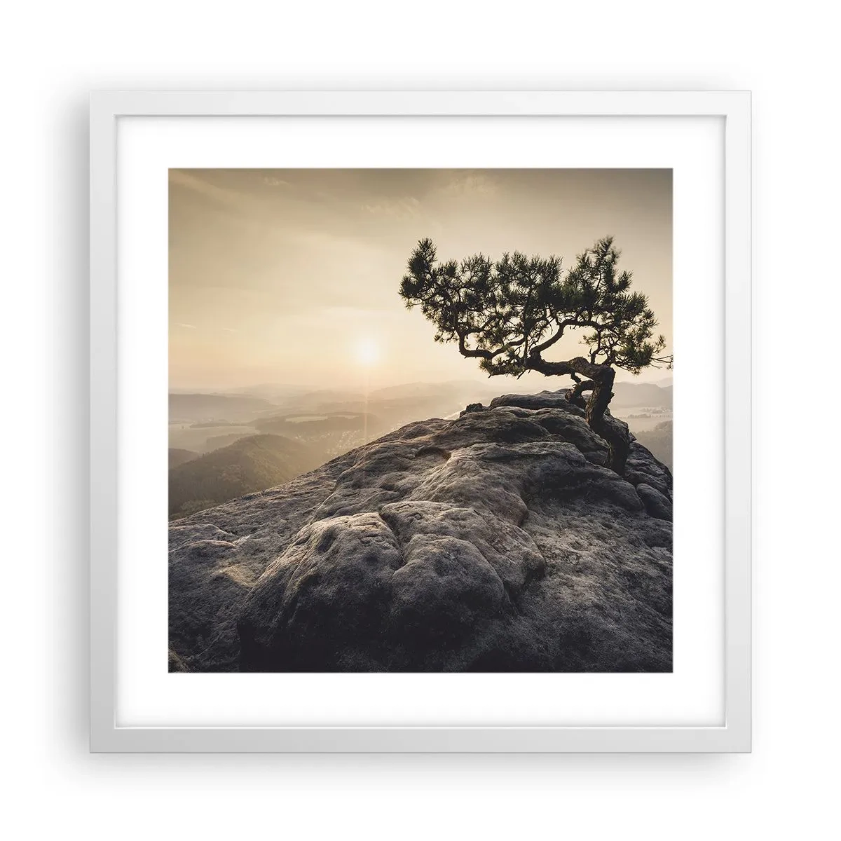 Affisch i vit ram - Livet vinner alltid - 40x40 cm