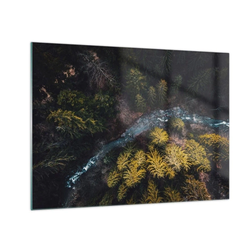 Glastavla - Bild på glas - En fågelperspektiv av ett skogslandskap med en slingrande bäck - 70x50cm - Snabbt, allt snabbare - Modern väggdekoration för vardagsrum och sovrum ARTTOR