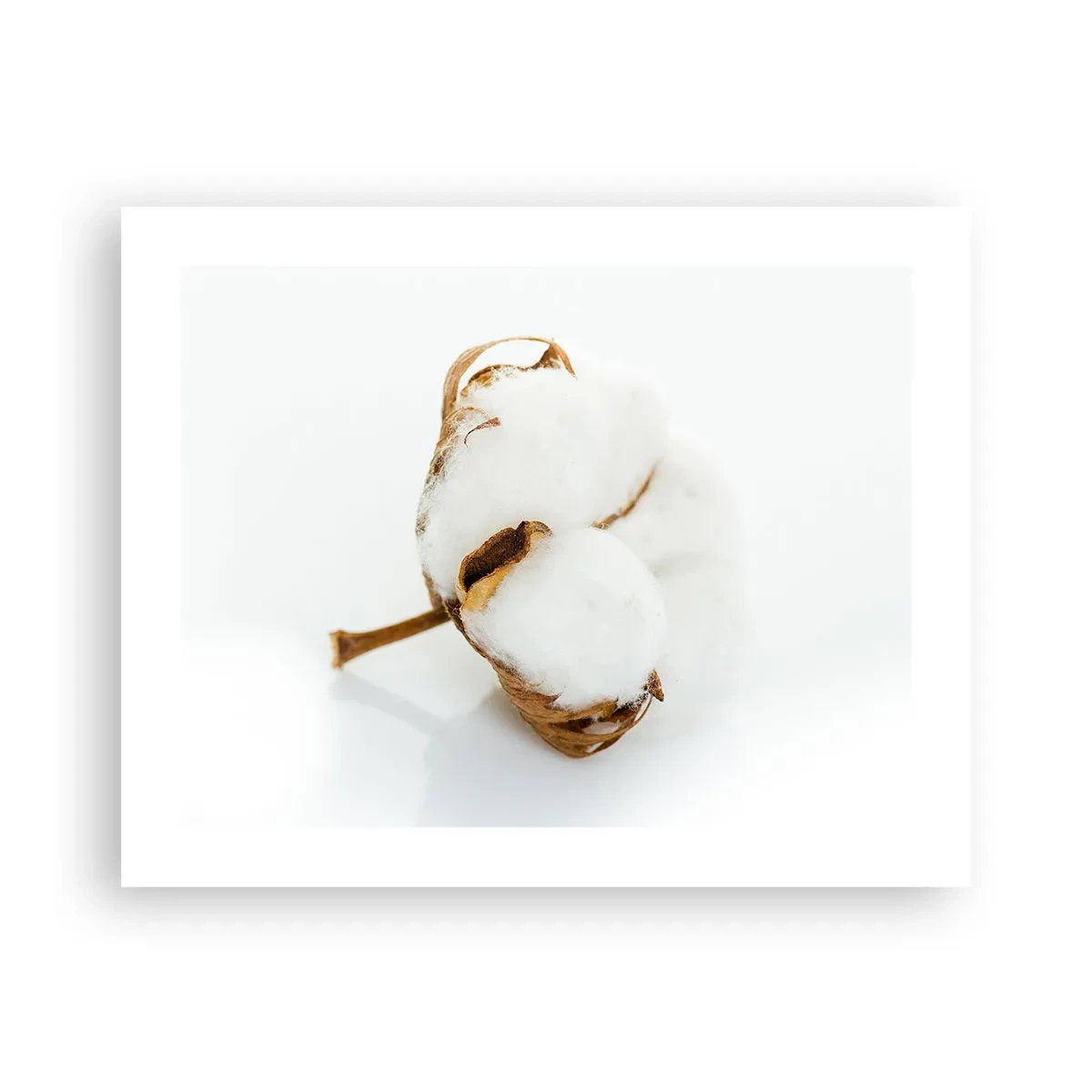 Affisch - Mjuk av naturen - 50x40 cm