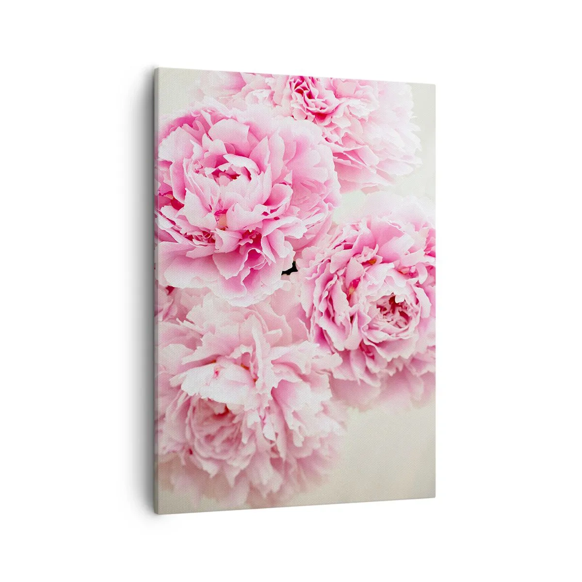 Canvastavla - Bild på duk - Rosa prakt - 50x70 cm