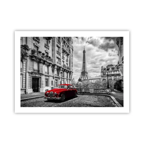 Affisch - Rovdjuret i staden - 70x50 cm