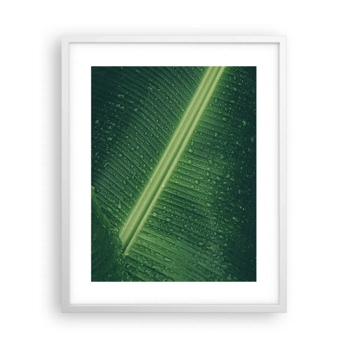 Affisch i vit ram - Grönskans struktur - 40x50 cm