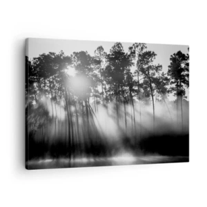 Canvastavla - Bild på duk - Svartvit skog i morgondimman - 70x50cm - Ostoppad sol - Modern väggdekoration för vardagsrum och sovrum ARTTOR