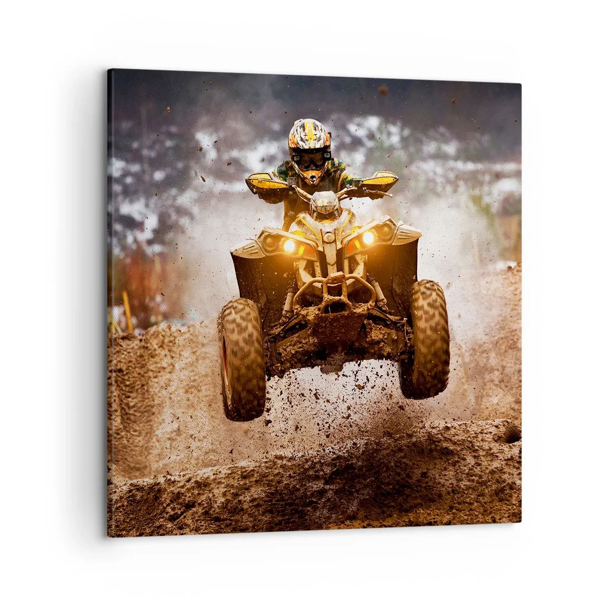 Canvastavla - Bild på duk - No risk no fun - 50x50 cm